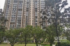 <b>价钱波动范畴清</b>